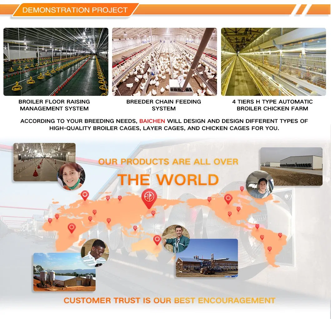 Auto Flat Chain Feeding System Specifications and Details