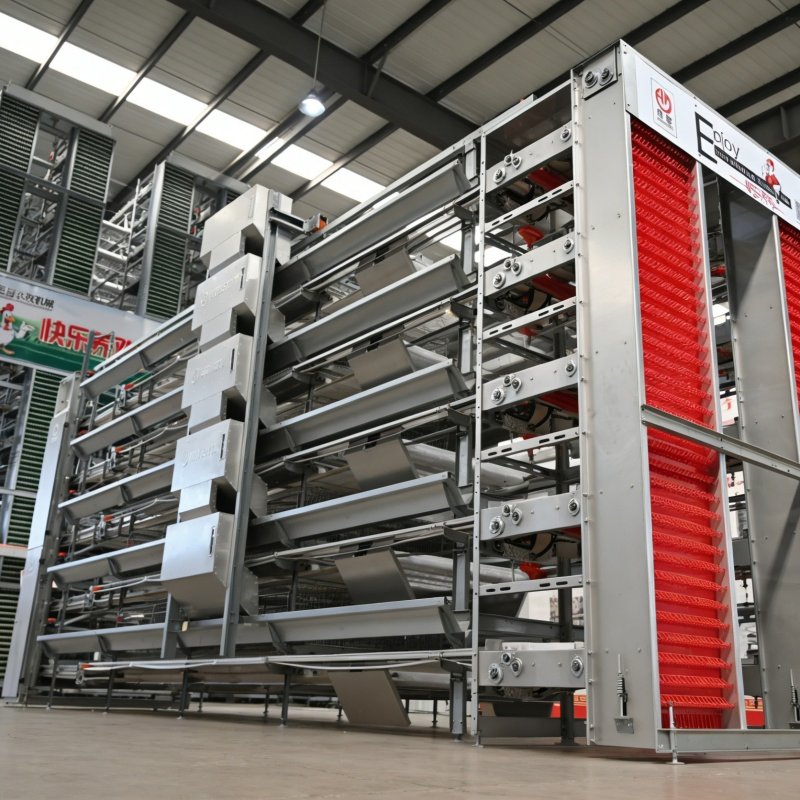 Thailand Layer Farm Water-Saving Nipple Drinker System Chicken Cage