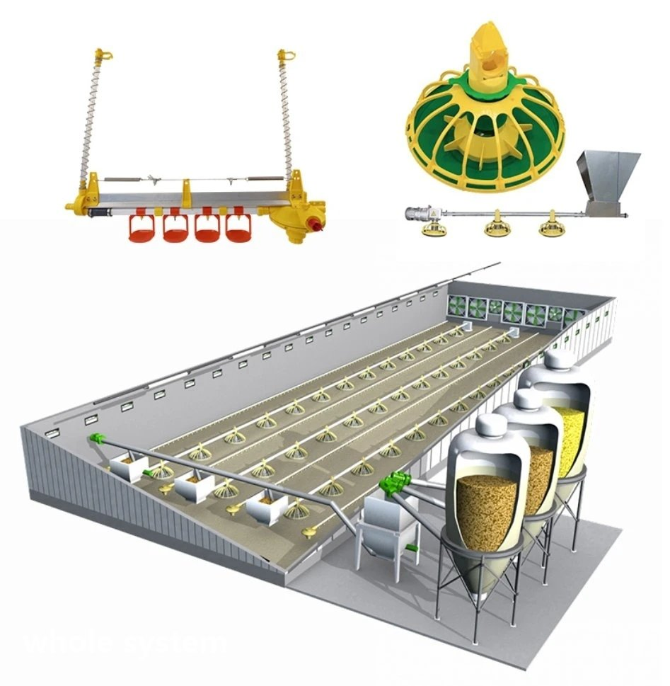 Automated Poultry Farming Feeding System with 14 Cells Stainless Steel