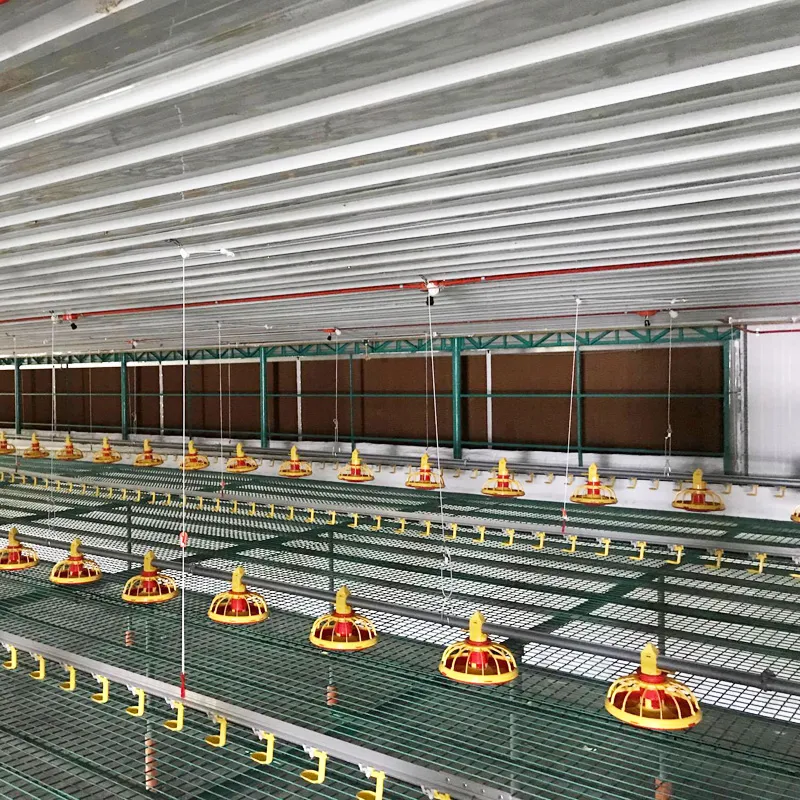 Broiler and Breeder Chicken Pan Feeding System