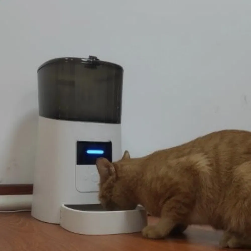Real-Time Treat Dispensing Smart Pet Feeder for Multi-Pet Households