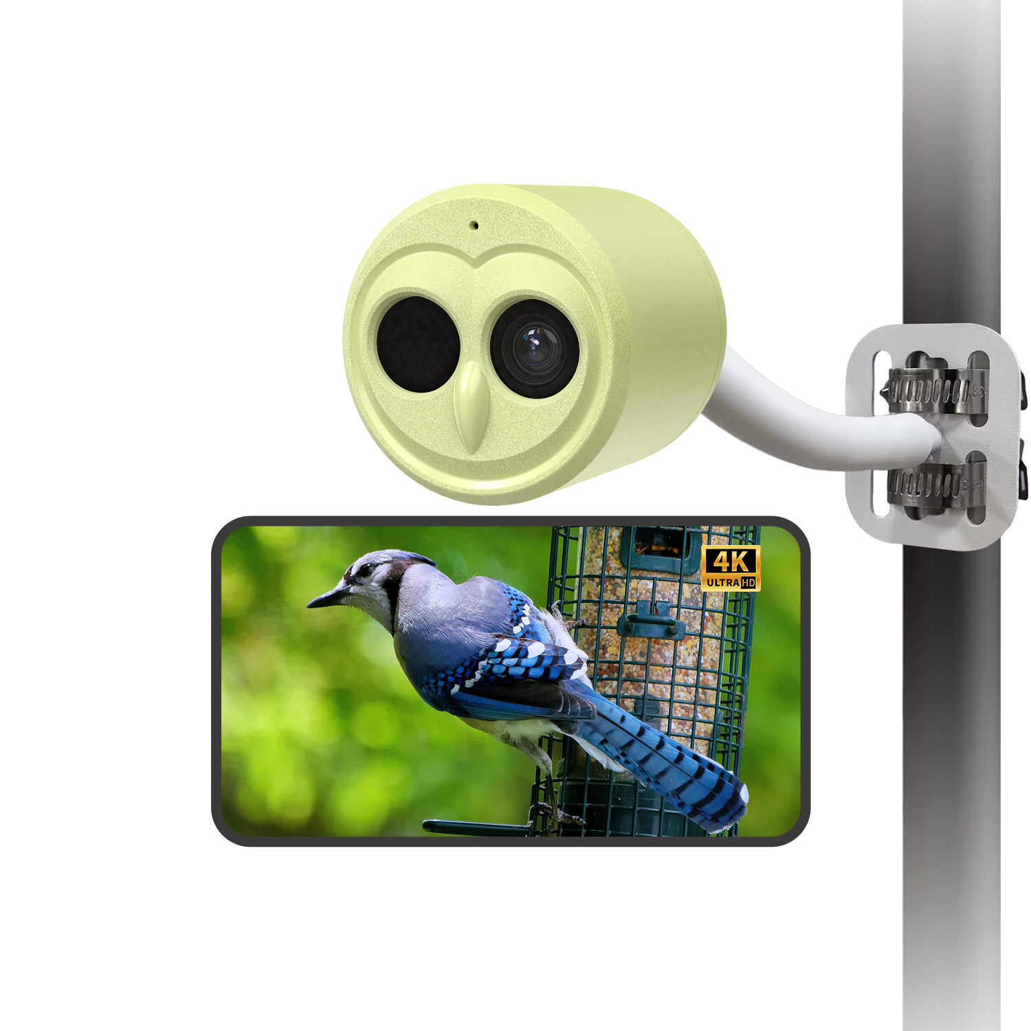 OEM ODM Smart AI Identify 4K Real-time Bird Watching Camera 5g WiFi Bird Feeder Camera for Bird House Nest