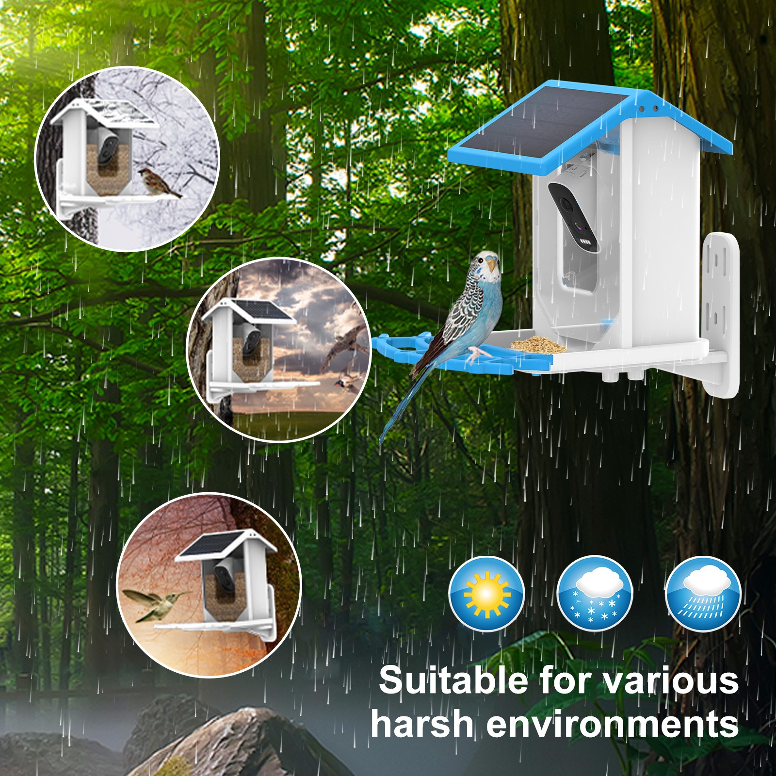Network Camera Smart Bird Feeder AI Recognition for 10k Species Detachable Design Tuya/Tirs Home App Support Source Factory