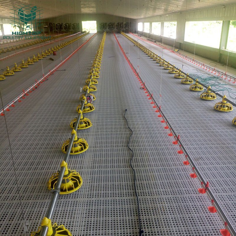 Poultry Farm Broilers Feeder Pan Equipment Fully Automatic Chicken Feeding Line System