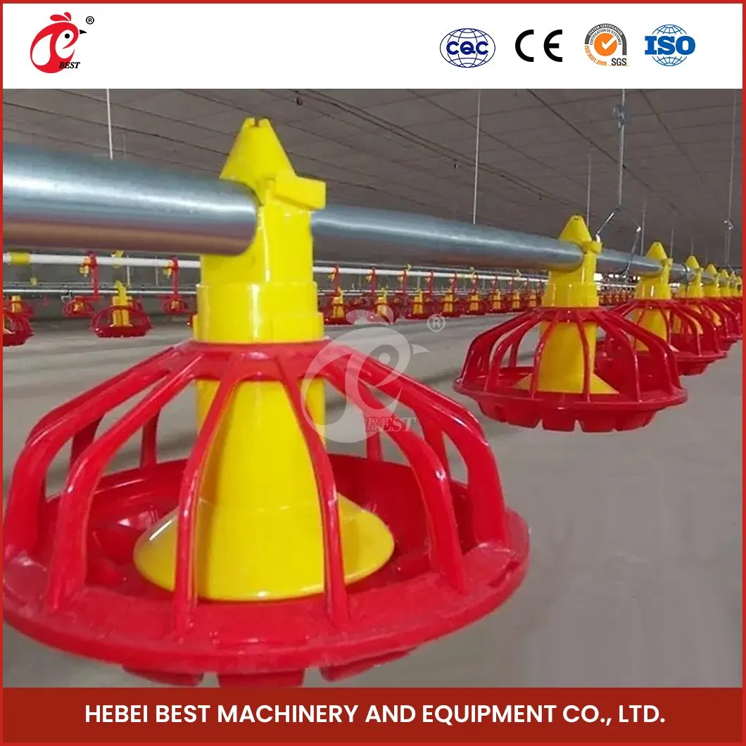 Bestchickencage Broiler Deep Litter System OEM Custom China Automatic Feeding Broiler Flooring Deep Litter System Suppliers