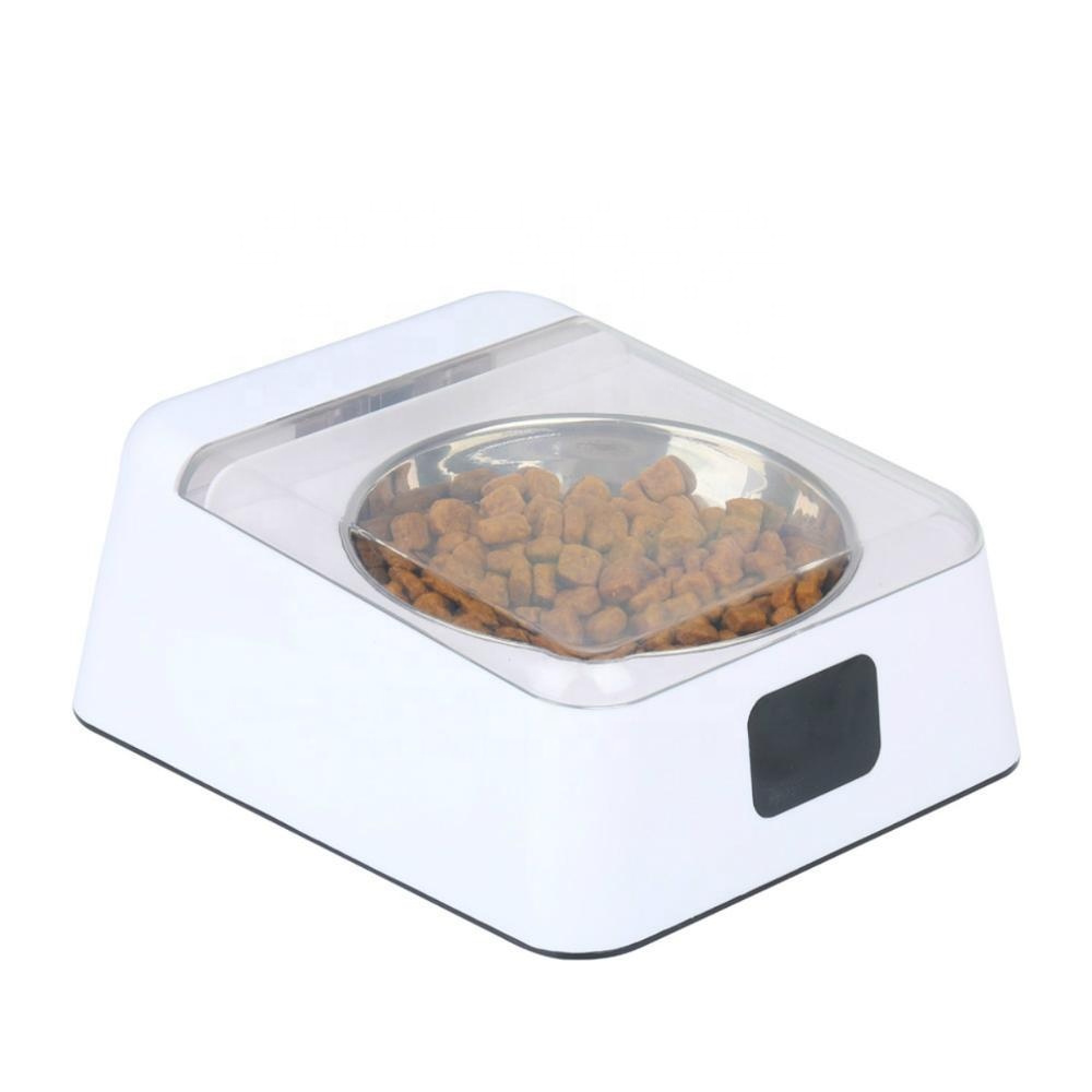 Related Product 2