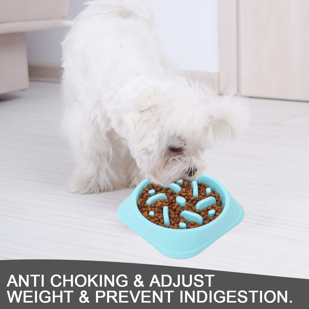 Pet Bowl Highlight 5