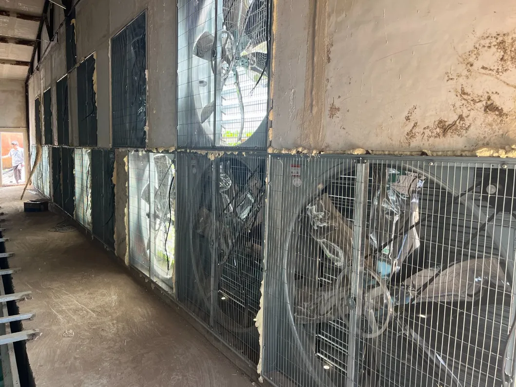 Automated Poultry Farming Feeding System with 14 Cells Stainless Steel