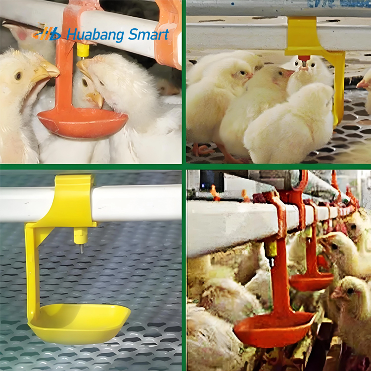 Automatic Poultry Nipple Drinkers Chicken Watering System with Cup Design Feeder Compatibility and Water Features for Farms