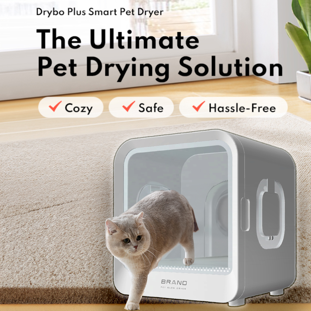 Pet Dryer Box