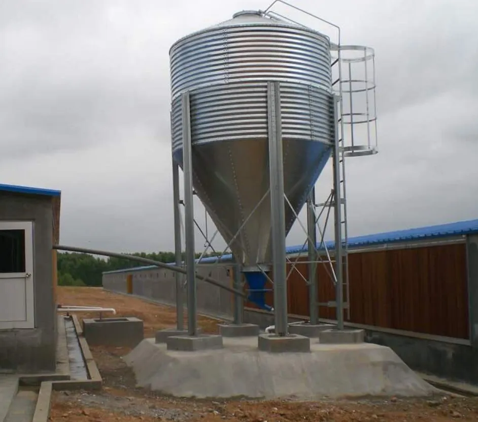 High-Efficiency Automatic Auger Feeding System for Broiler Farms