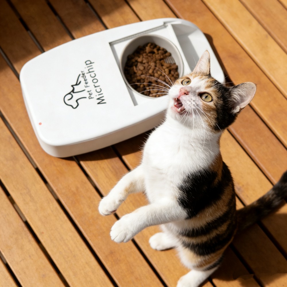Interactive Pet Feeding System with AI Technology, Remote Access, and Precise Portion Control