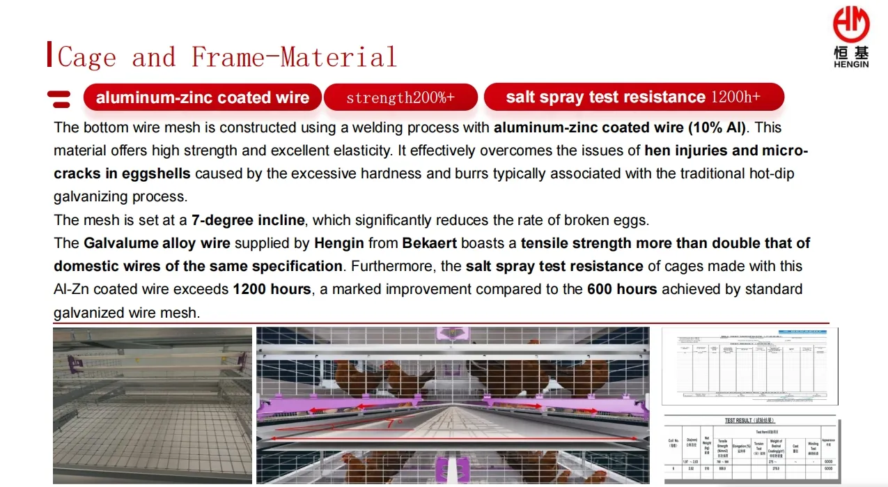Thailand Layer Farm Water-Saving Nipple Drinker System Chicken Cage