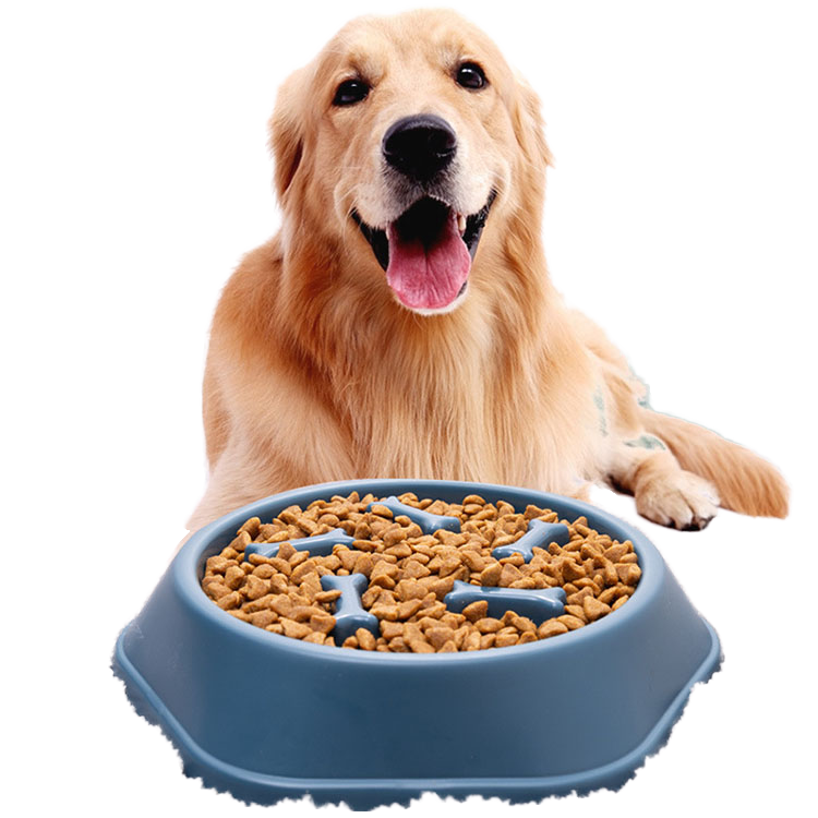 Pet Anti-choking Slow Feeder Bowl Healthy Eating Habits and Fun Mealtimes Slow Eating Reduce Obesity Bowl