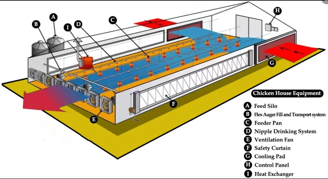 Automated Poultry Farming Feeding System with 14 Cells Stainless Steel