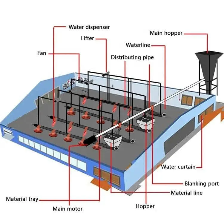 Broiler Floor Farming System with Auto Feeding Manure Removal