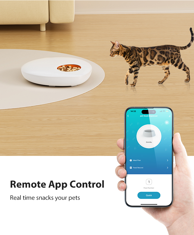 Pet Product Showcase 4