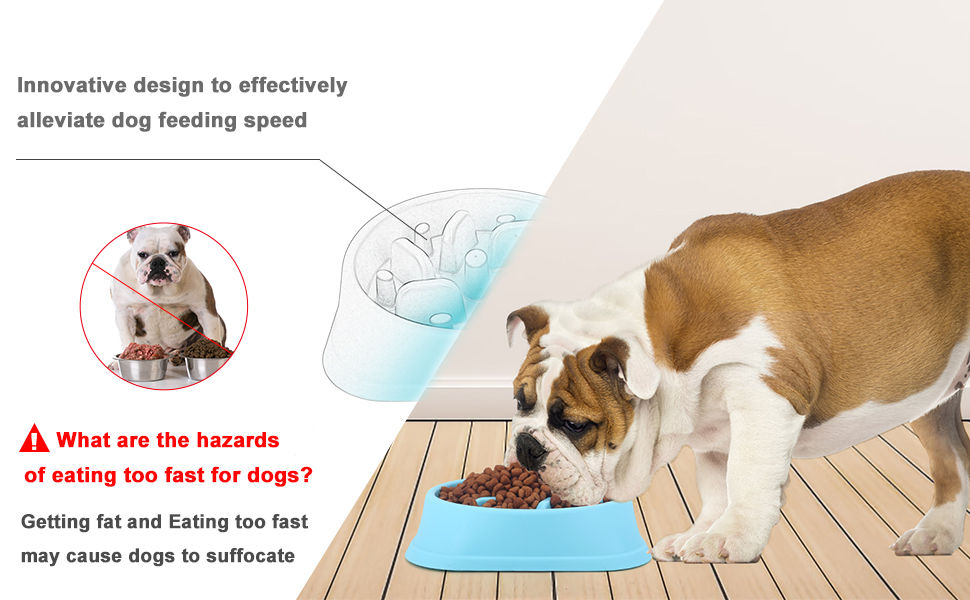 Pet Bowl Highlight 1