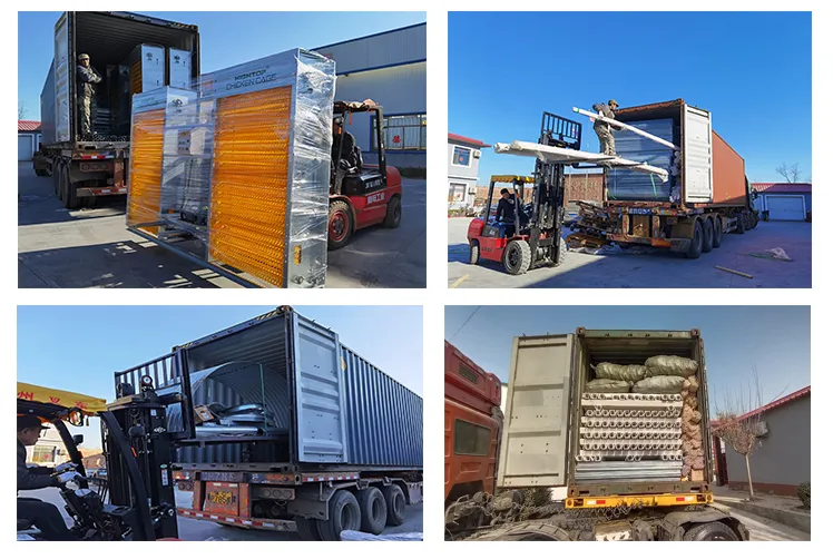 Low Price Poultry Ground Floor Raising Equipment For Broilers With Automatic Feeding System