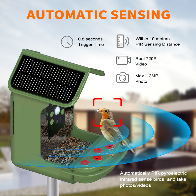 Bird Feeder Camera Detailed View 4