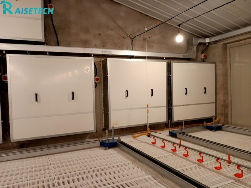 Advanced Chain Feeding System for Poultry Breeders - CE &amp; ISO Certified