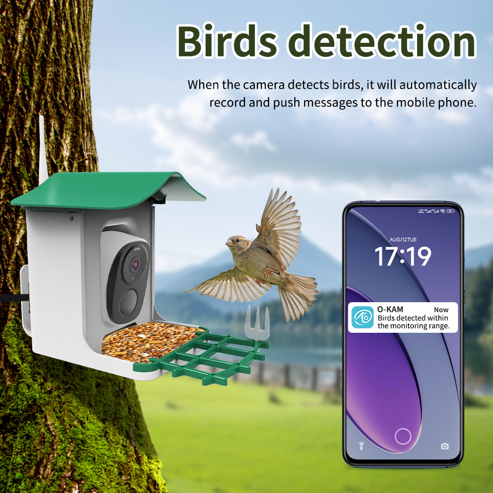 Hot Sale Smart Remote Monitoring Bird Feeder Camera Bird Feeders for Outdoors with Night Vision and Alarm Function