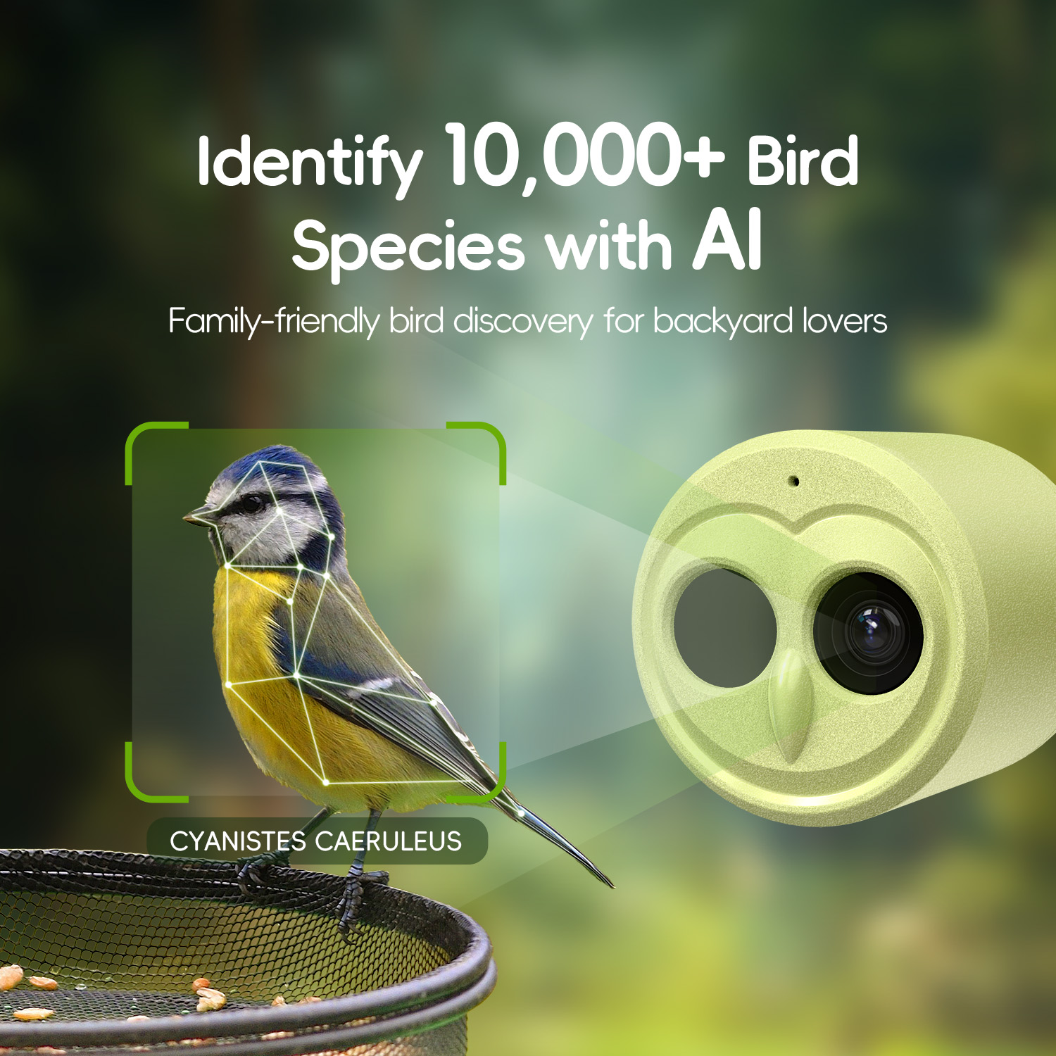 OEM ODM Smart AI Identify 4K Real-time Bird Watching Camera 5g WiFi Bird Feeder Camera for Bird House Nest