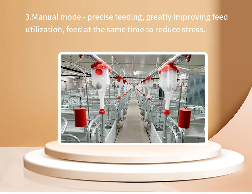 High Efficiency Equipment Automatic Pig Feeding System