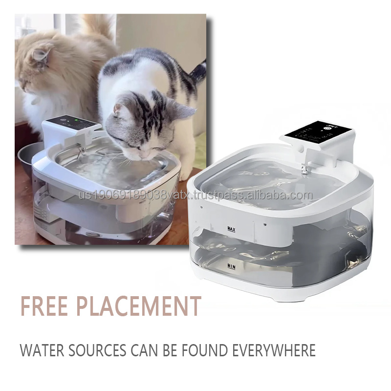 Detailed View of Premium Pet Product 2