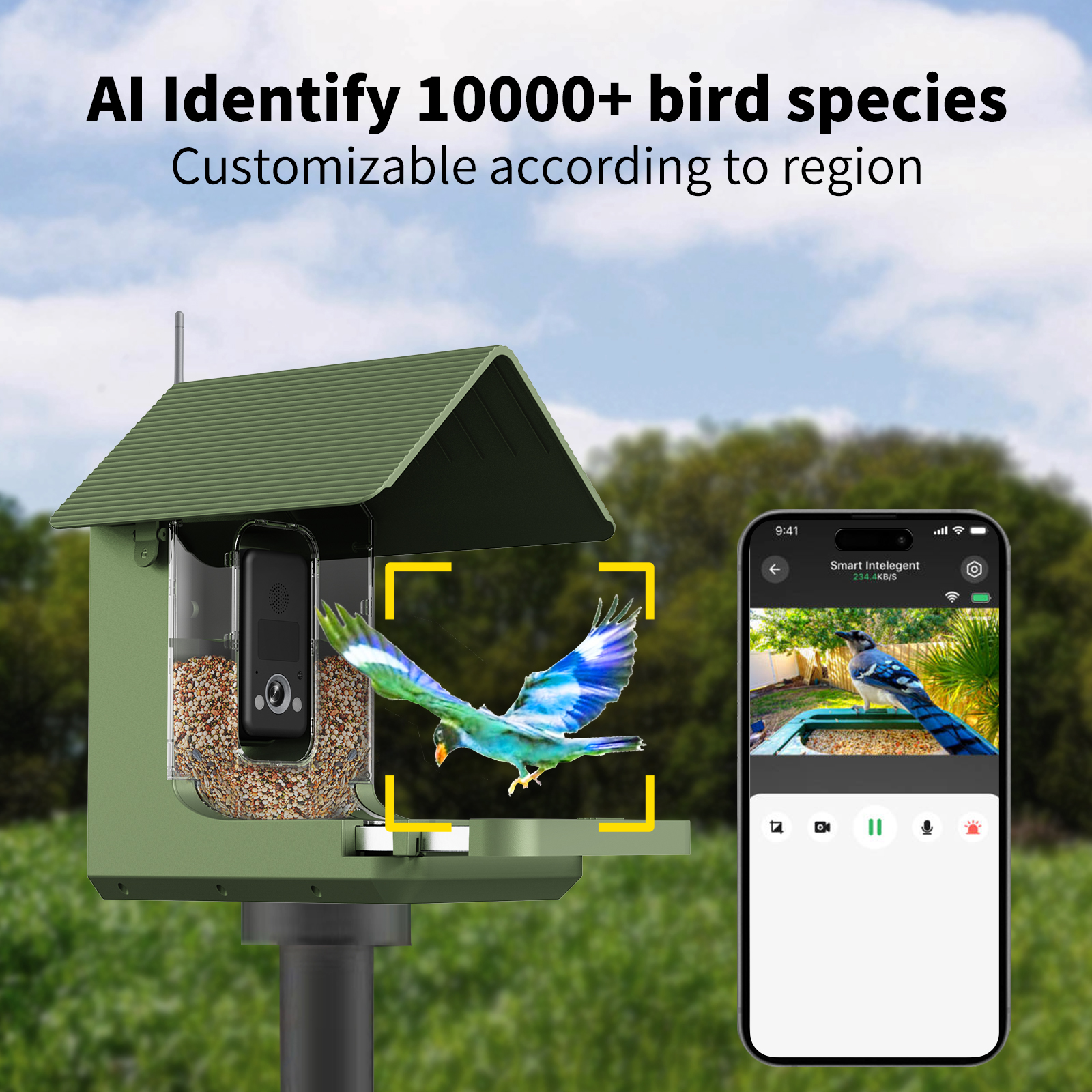 Bird Feeder Installation