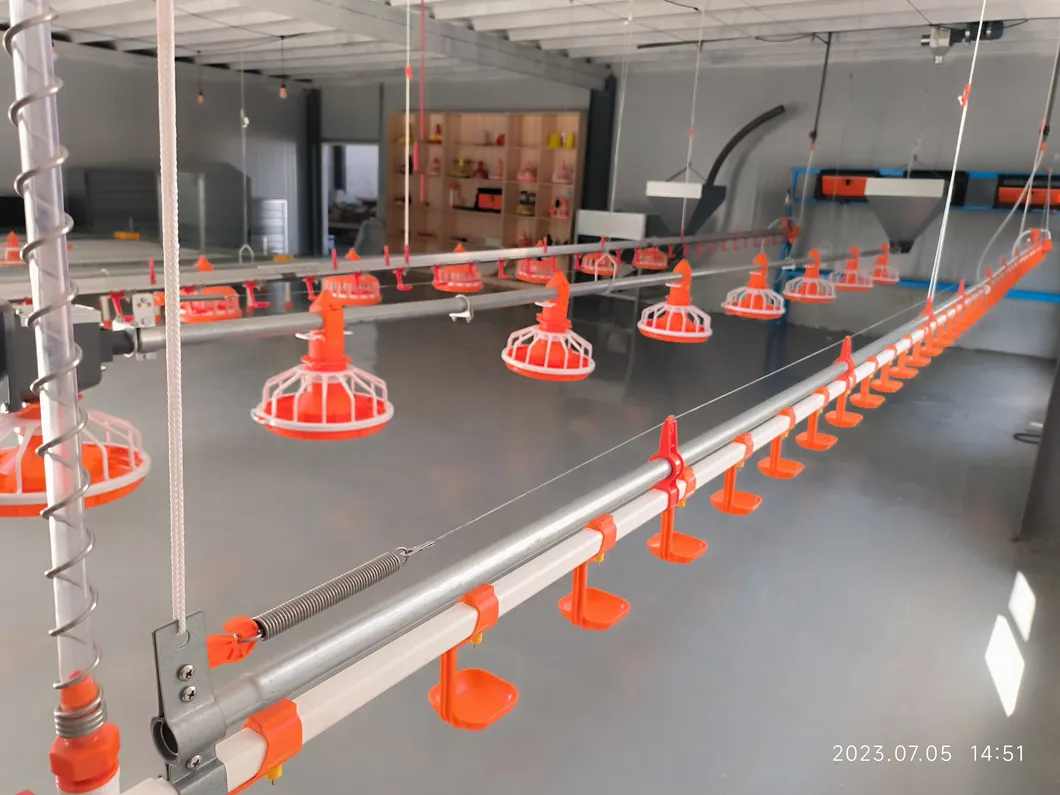 Automated Poultry Farming Feeding System with 14 Cells Stainless Steel