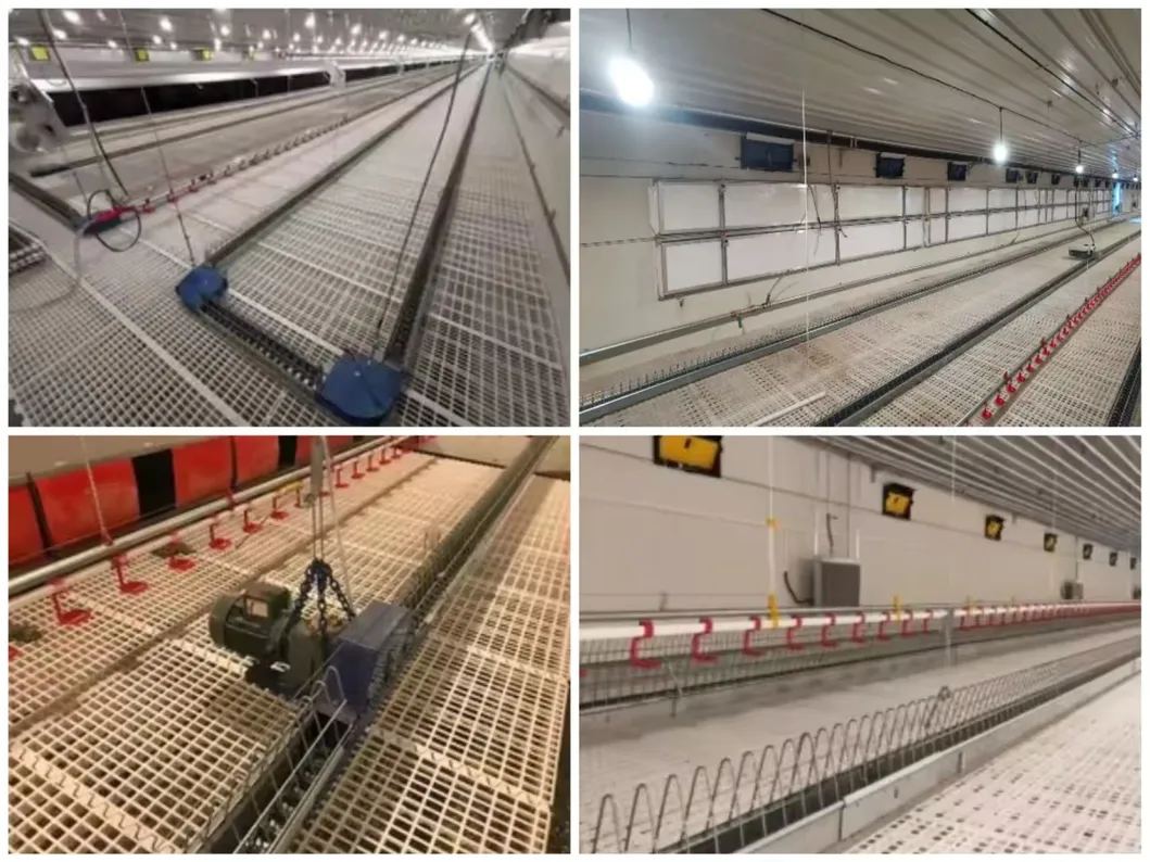 Feeding system layout inside house