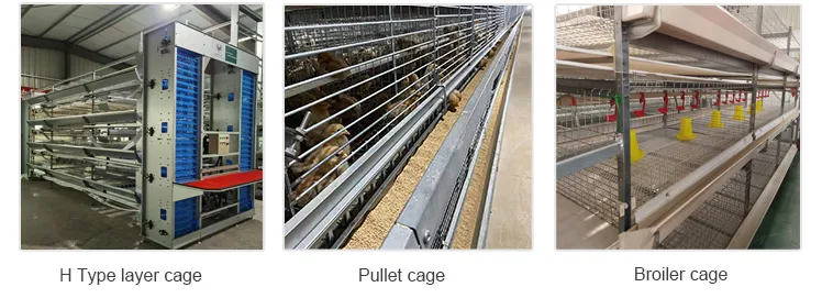 Related Products Grid