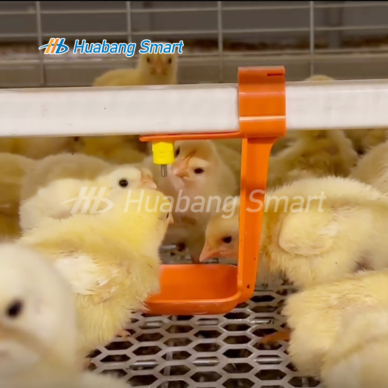 Automatic Poultry Nipple Drinkers Chicken Watering System with Cup Design Feeder Compatibility and Water Features for Farms