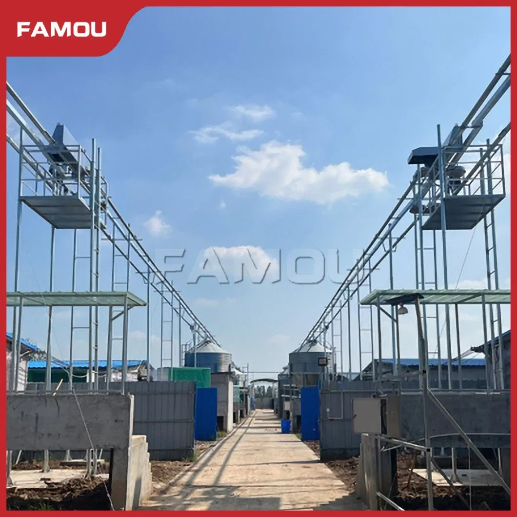 Famou Poultry Equipment 102mm Automatic Chain Feeding System Used in Poultry Pan Feeding System