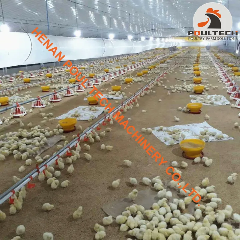 Broiler Farming Slatted Floor System with Automatic Feeding Pans & Automatic Nipple Drinker