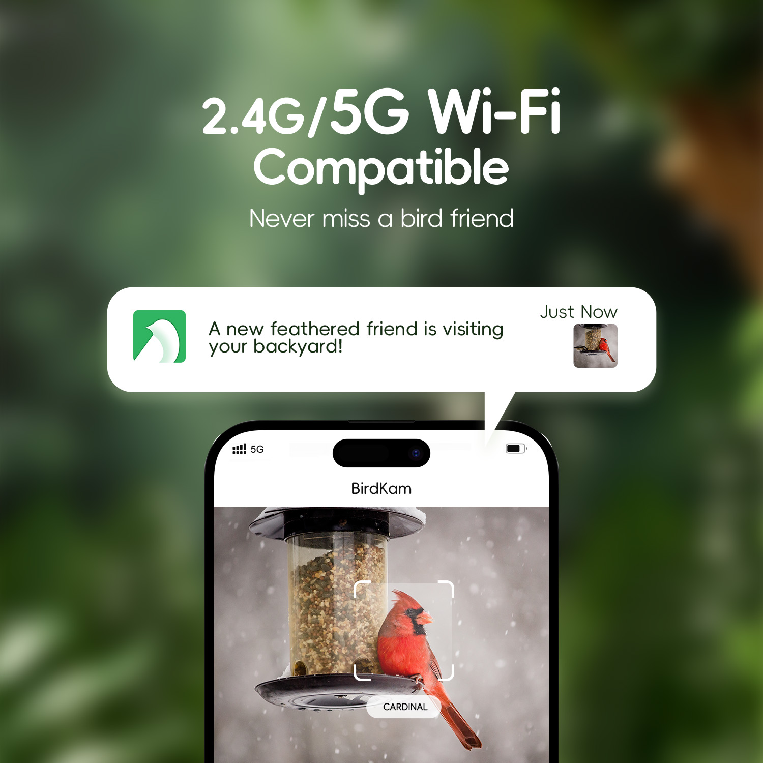 OEM ODM Smart AI Identify 4K Real-time Bird Watching Camera 5g WiFi Bird Feeder Camera for Bird House Nest