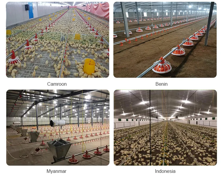 Poultry Farm Broilers Feeder Pan Equipment Fully Automatic Chicken Feeding Line System