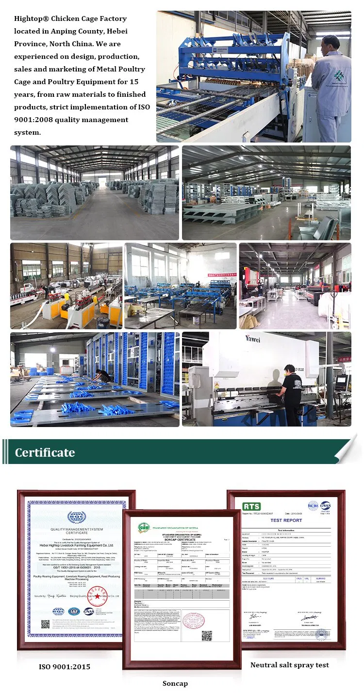 Low Price Poultry Ground Floor Raising Equipment For Broilers With Automatic Feeding System