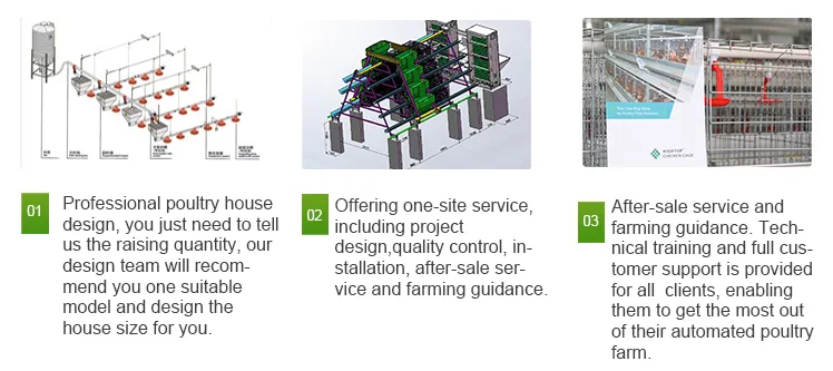 Low Price Poultry Ground Floor Raising Equipment For Broilers With Automatic Feeding System