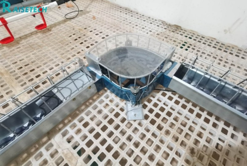 Advanced Chain Feeding System for Poultry Breeders - CE &amp; ISO Certified