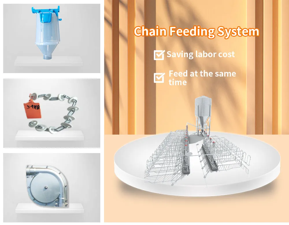 High Efficiency Equipment Automatic Pig Feeding System