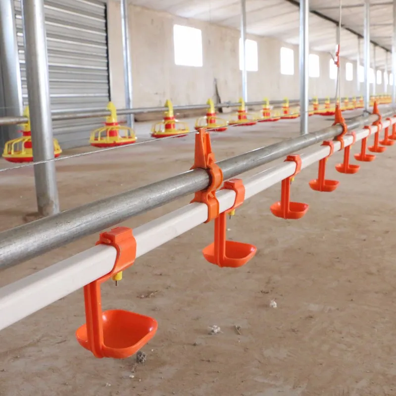 Automated Poultry Farming Feeding System with 14 Cells Stainless Steel