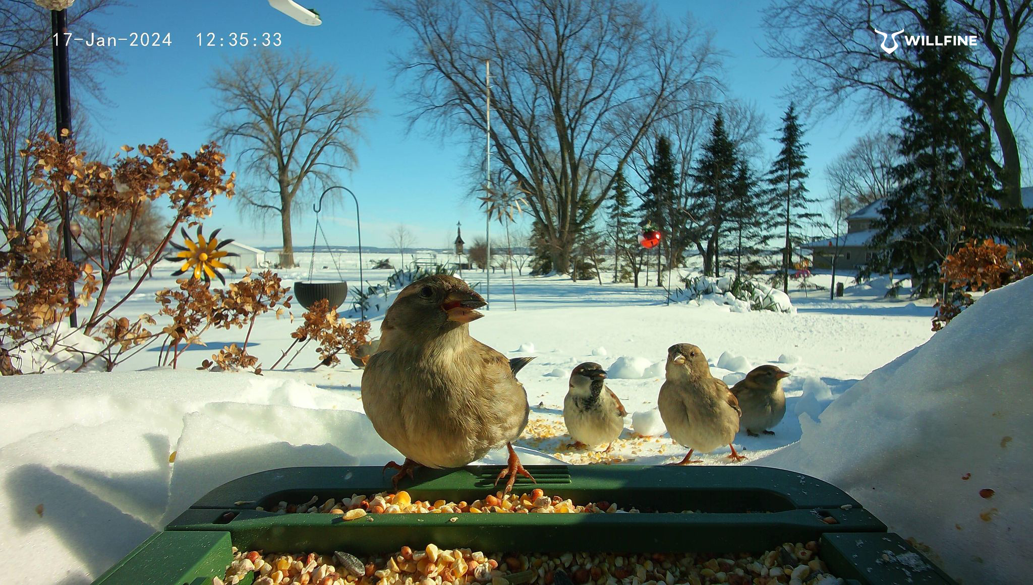 Bird Photo Night 2