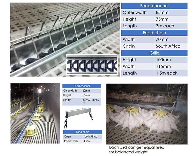Breeder Chain Feeding System Details