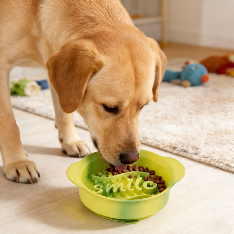 2026 New Arrival Anti-Overturning Puzzle Feeders Dish Dog Anti-Choking Silicone Slow Feeder Bowls For Healthy Eating Experience