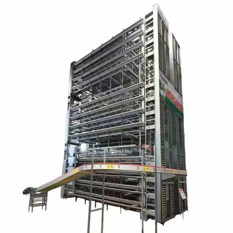 Thailand Layer Farm Water-Saving Nipple Drinker System Chicken Cage