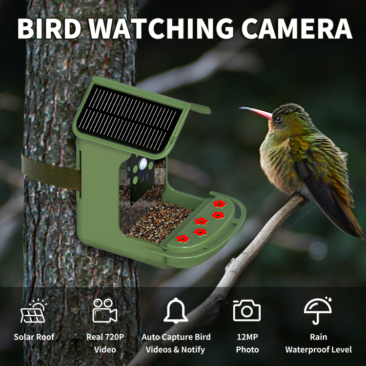 Bird Feeder Camera Detailed View 1