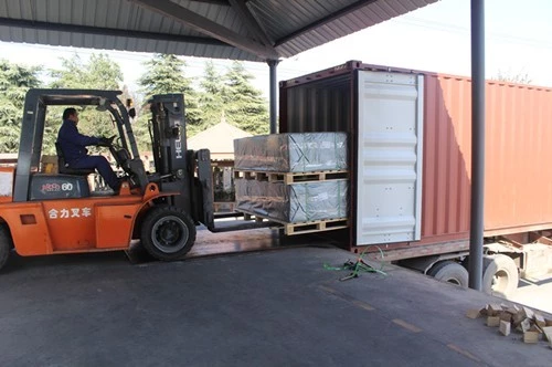 Shipping Options