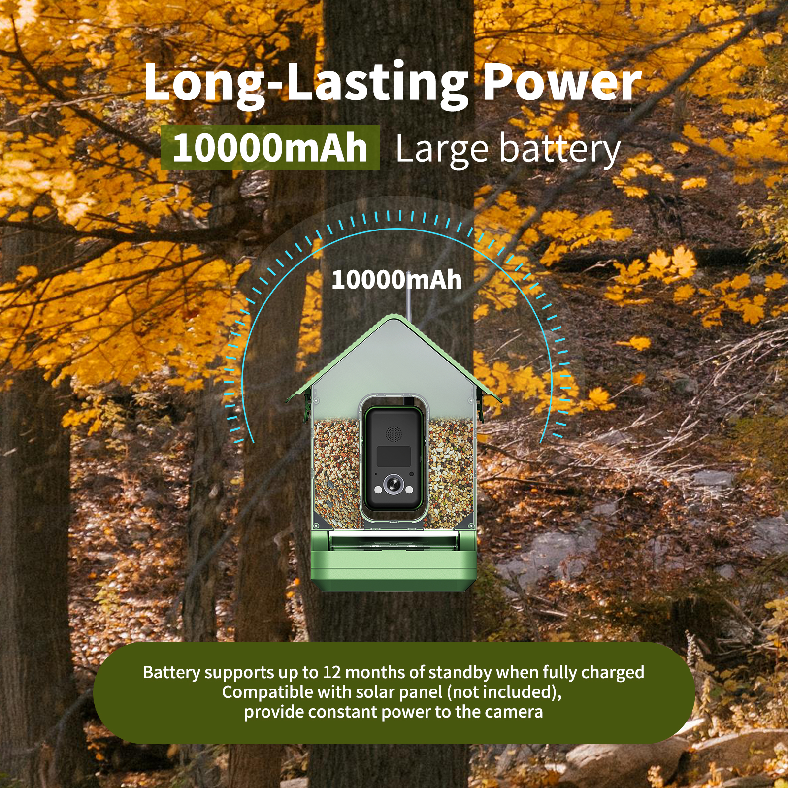 Willfine 4K AI Bird Feeder Camera Bird Species AI Identification IP66 Waterproof Live Stream WIFI Remote Control OEM ODM